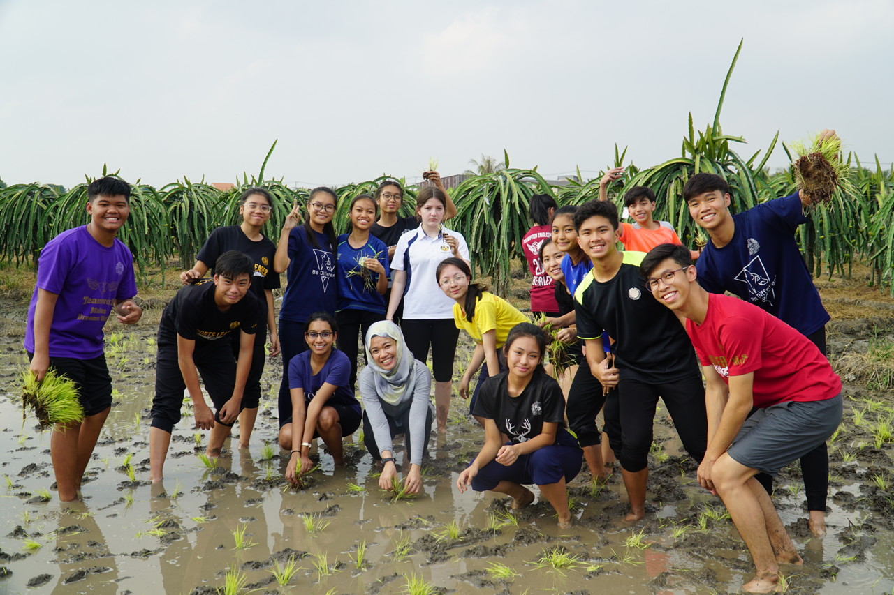 A group of smiling teenagers pose in a muddy rice paddy field, holding rice seedlings, with dragon fruit plants behind them.